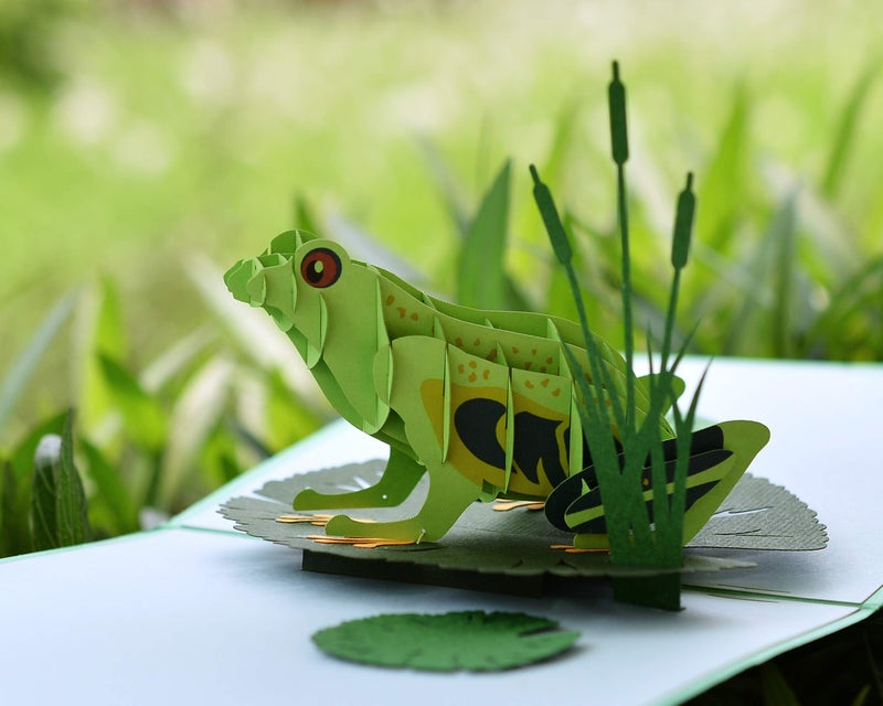 CUT POPUP.COM CUTPOPUP Birthday Card Pop Up, 3D Greeting Card (Frog) - Image 2